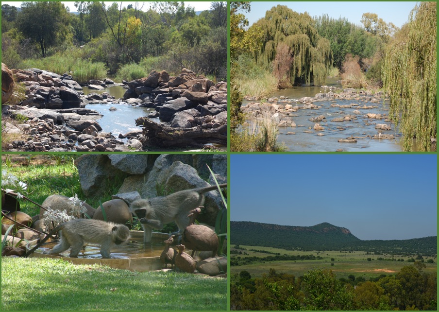 Vaal de Gráce collection