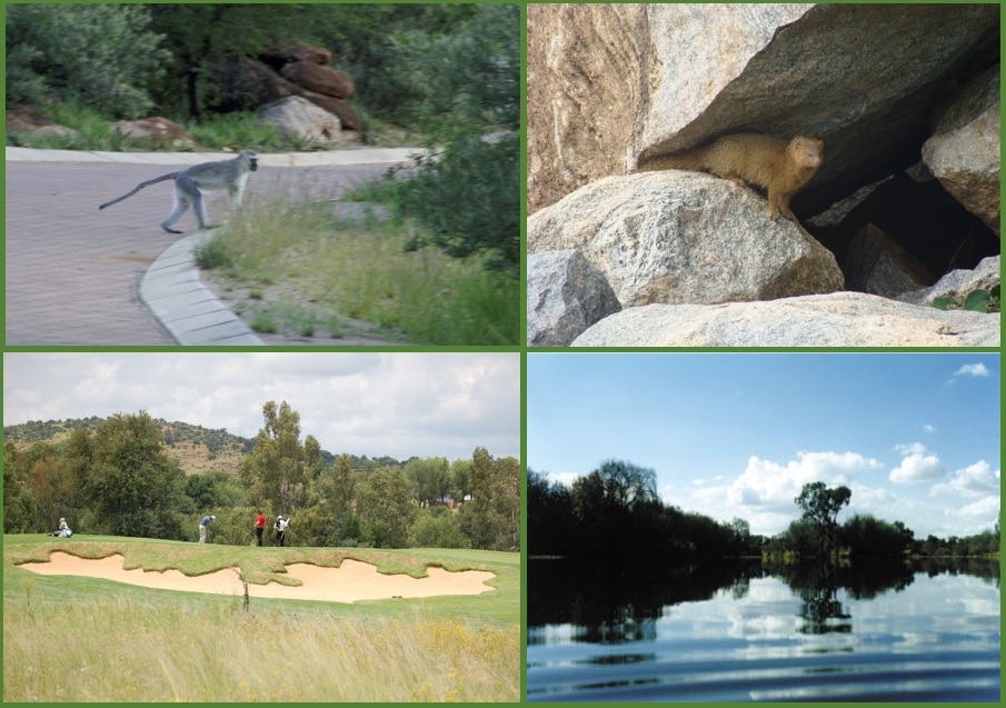 Vaal de Gráce collection