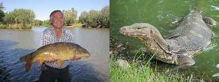 Vaal de Gráce